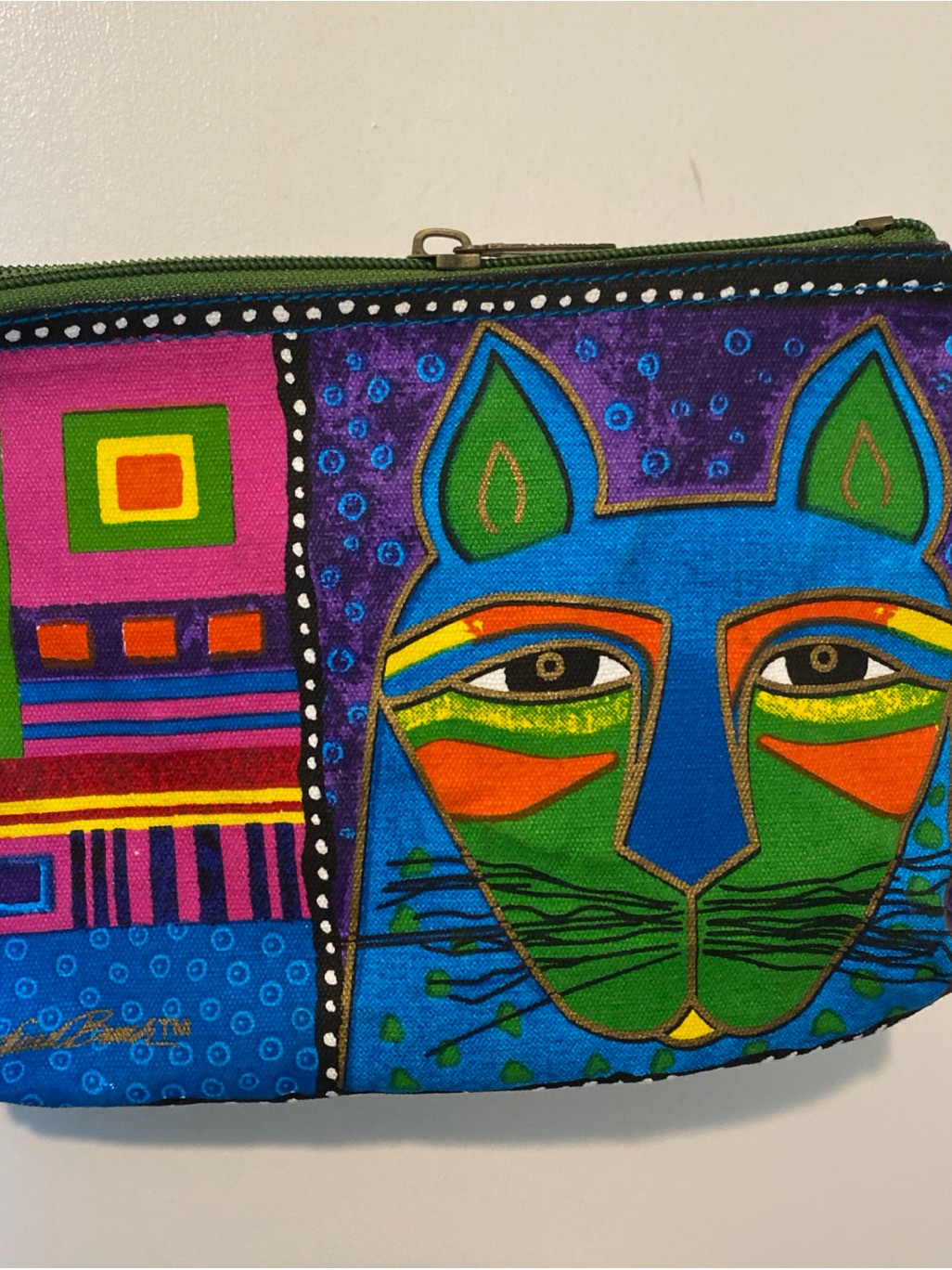 Colorful Cat Art Zip Pouch  Vibrant Blue  Green